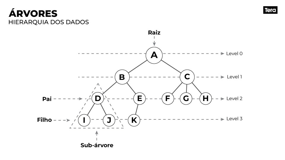 arvore-1
