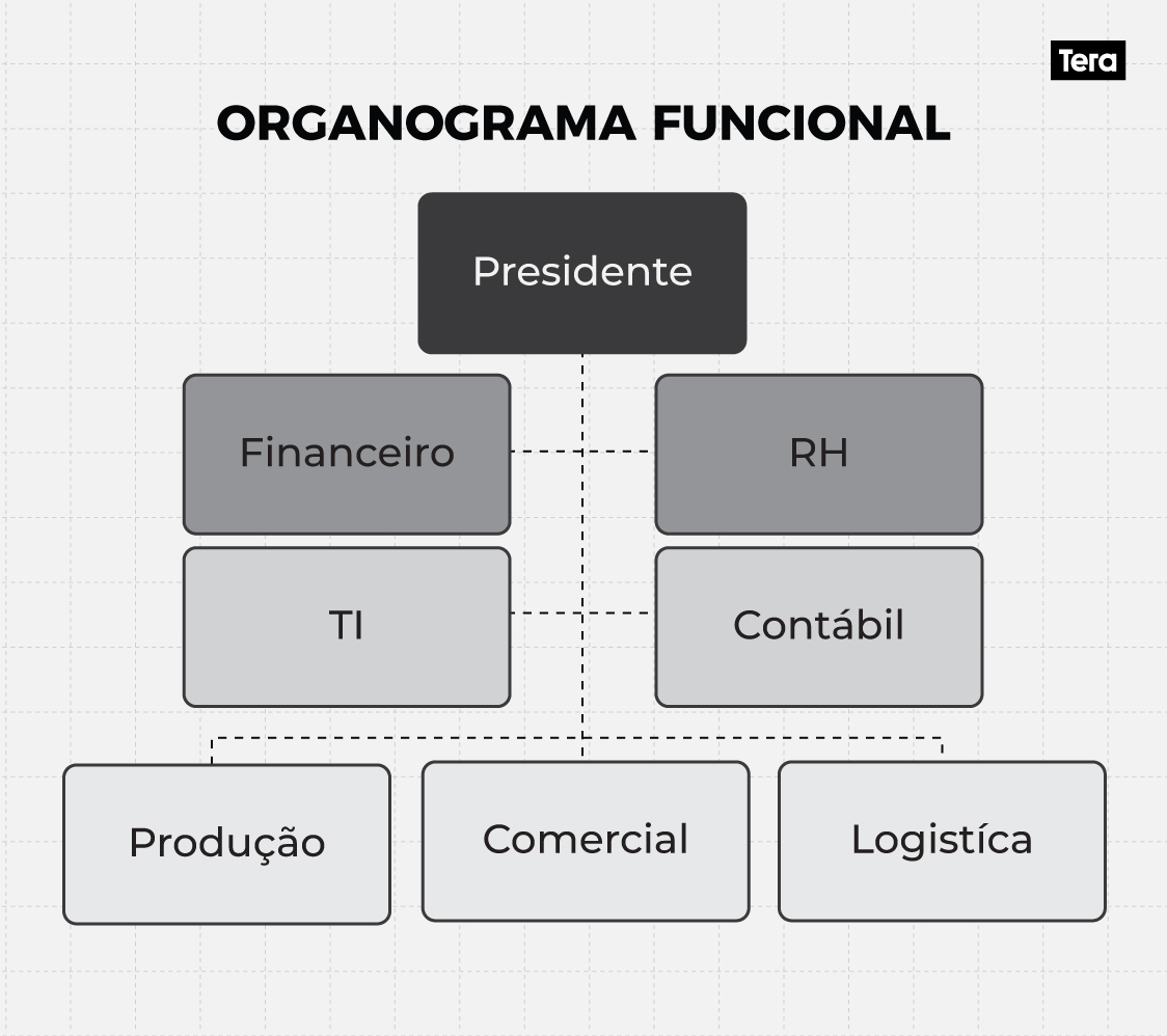 organograma funcional-1
