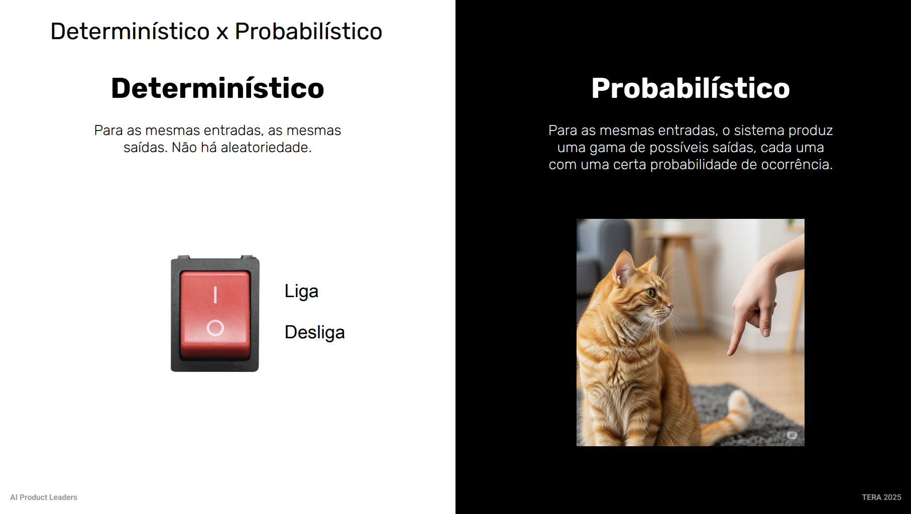 probabilistico x deterministico